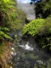 image035