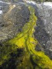 image062