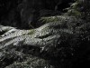 image066