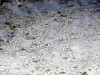 image075